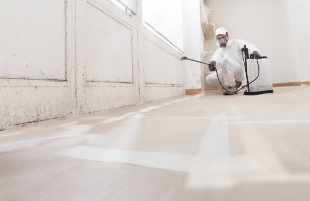 24/7 Emergency Mold Remediation experts in Allenwood, NJ